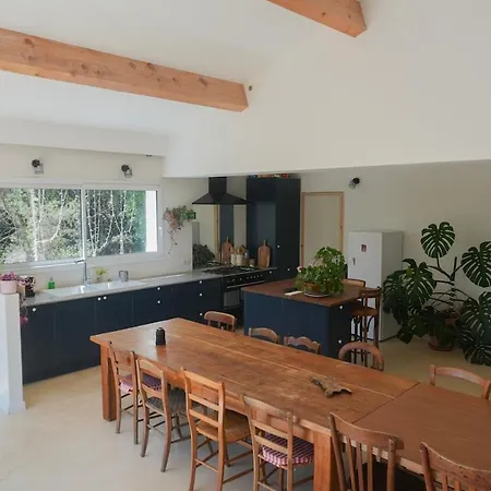 Grande Maison En Garrigue, 12 Personnes, Calme Total Vakantiehuis